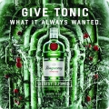 Give Tonic what it always wanted
