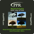 Company logo, tree pictures, 