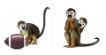 Telus monkeys