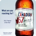 Premium light beer 67 calories